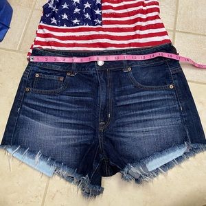 AE Festival Jean Shorts
